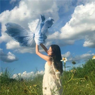 提姆的维美尔