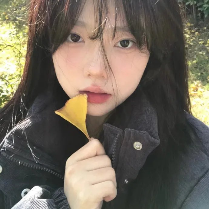 狗心